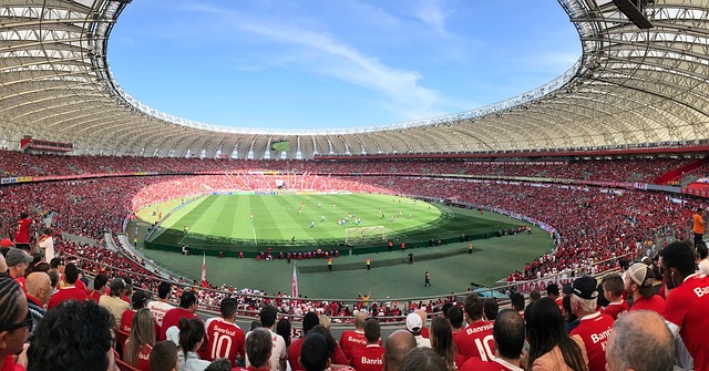 不仅是